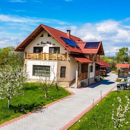 Hotel Casa Nely Sighetu Marmaţiei Exterior foto