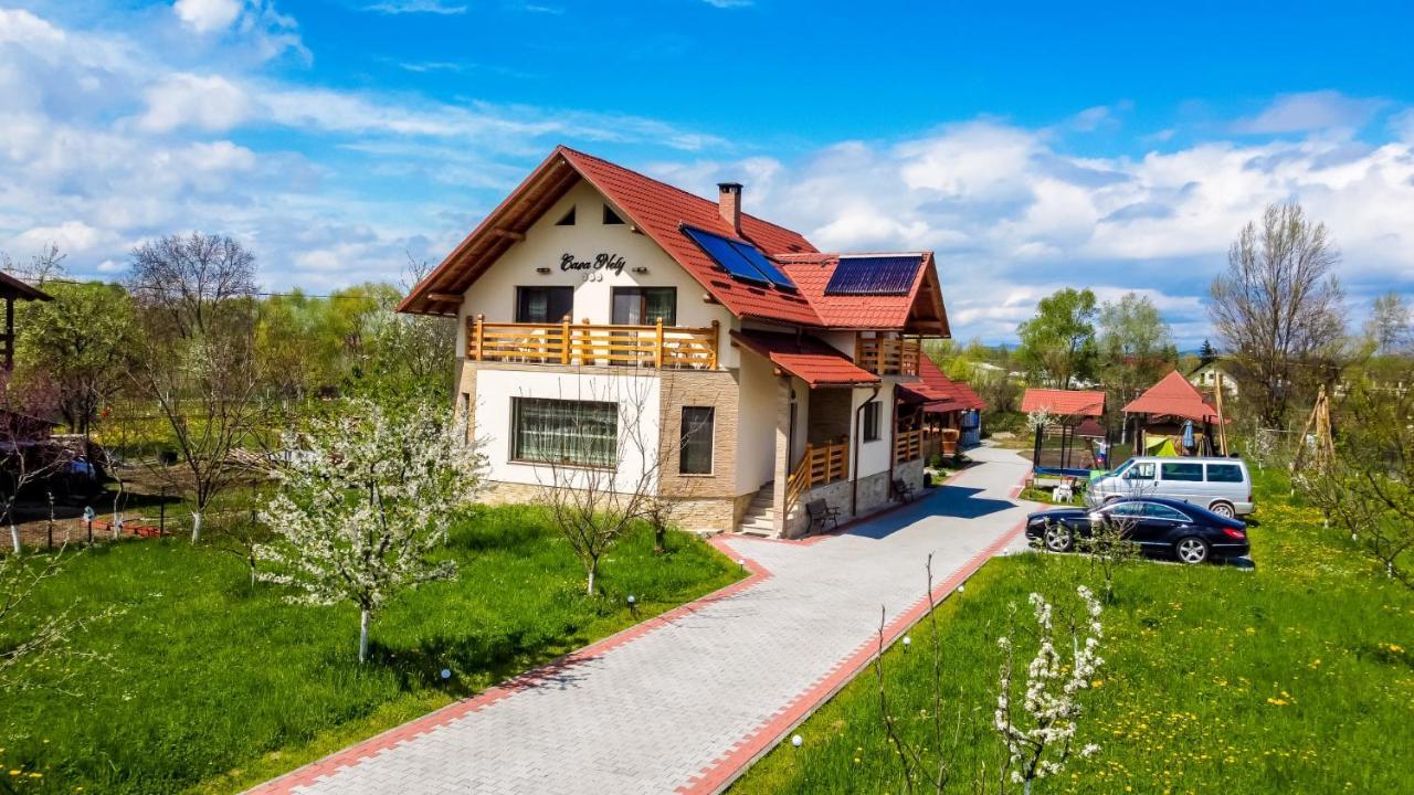 Hotel Casa Nely Sighetu Marmaţiei Exterior foto