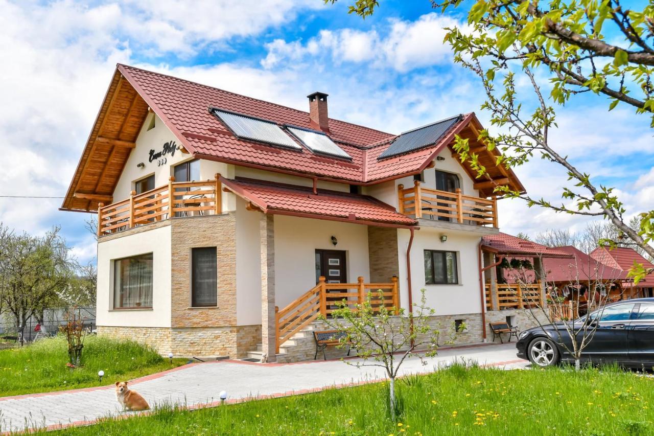 Hotel Casa Nely Sighetu Marmaţiei Exterior foto